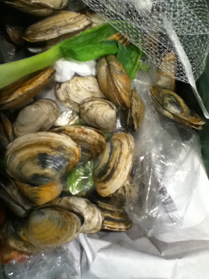 How Many Calories In A Pound Of Steamed Clams