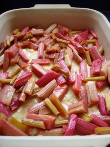 Rhubarb rice pudding