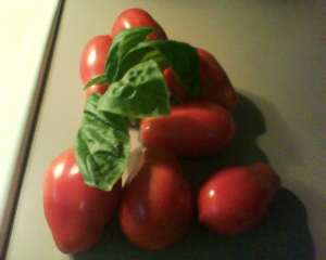 Ripe romas, 15 for $1. Does it get any better?