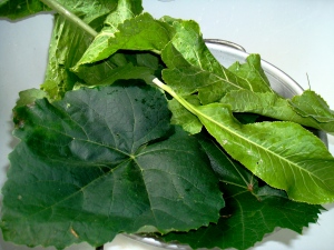 Use grape and/or horseradish leaves to keep the cukes crisp.