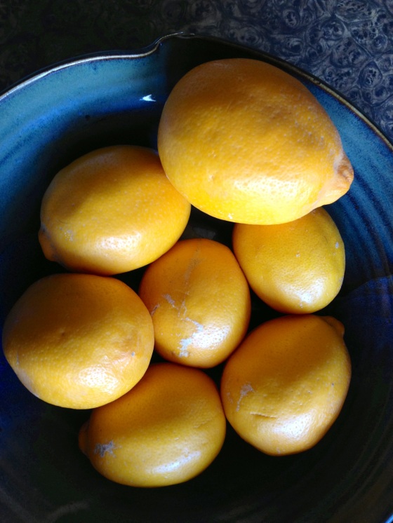 Nothing like ripe Meyer lemons from California to brighten a grey, cold January day in Maine.